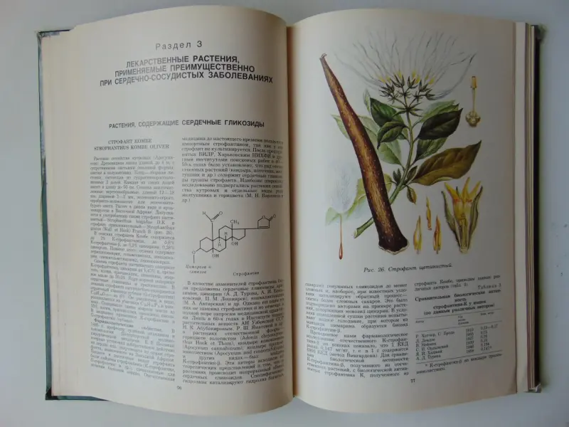 Домашний травник.