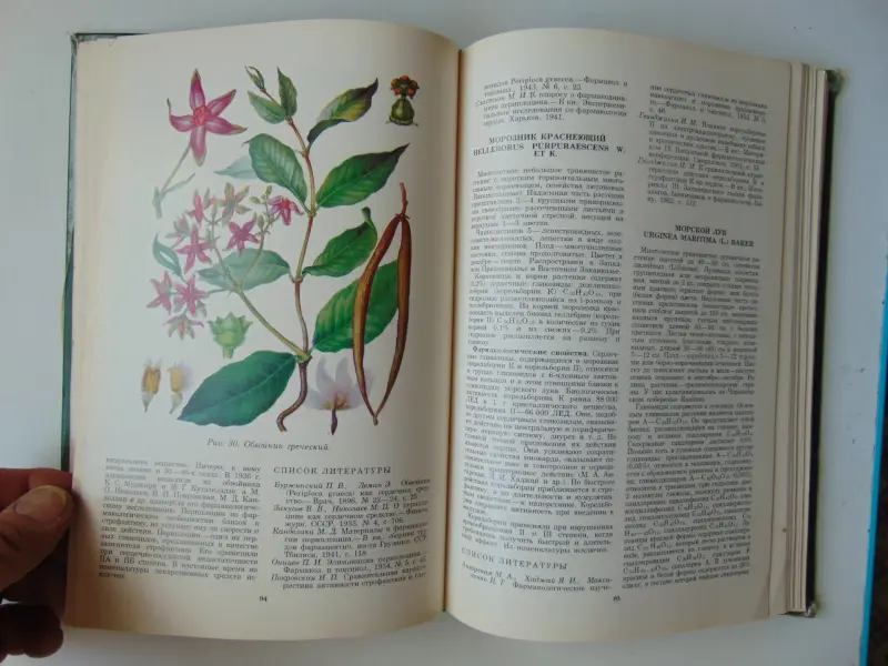 Домашний травник.