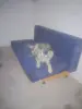 Пропала собака Витебск и вся Беларусь