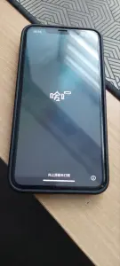 IPhone 11 pro max 256