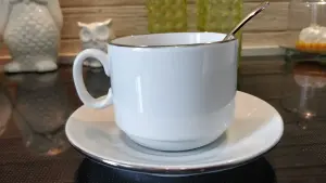 Фарфоровая чайная пара из Добруша