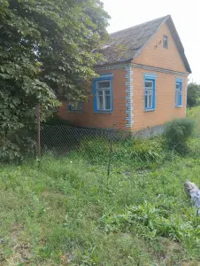Дом в деревне
