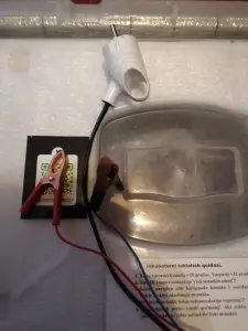 Инкубатор для яиц