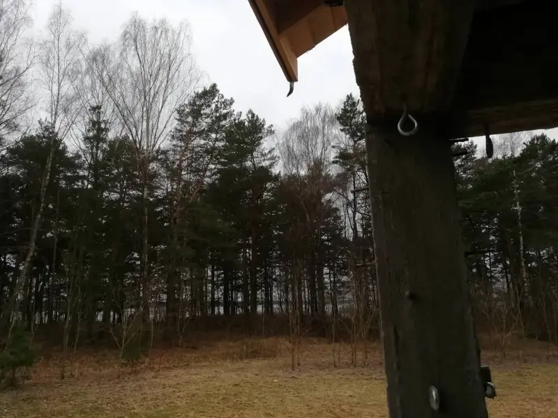 Два дома в лесу, на берегу Вилейского водохранилища.
