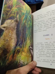 Книга