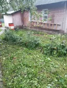 продам дом деревня Косачи