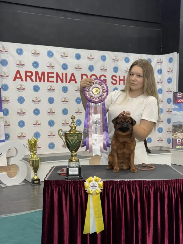 Услуги Хендлера Минск