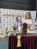 Услуги Хендлера Минск