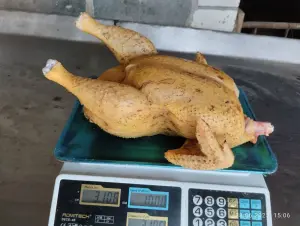 Бройлер Домашний Мясо