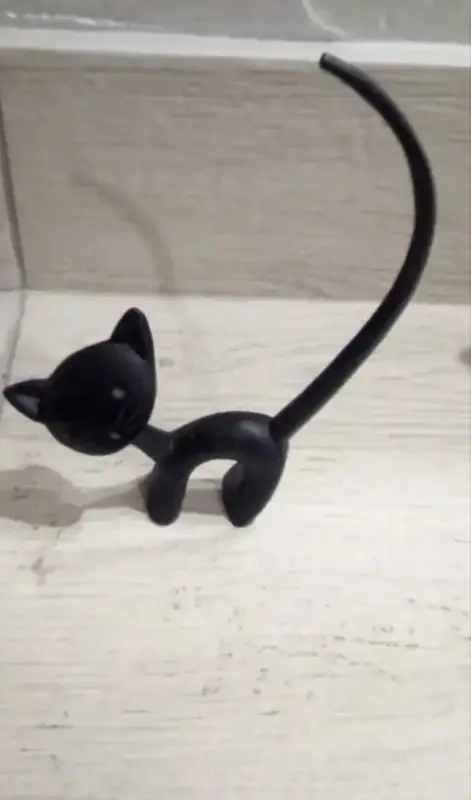 Котёнок Касли