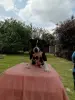 Щенки АМ стаффа