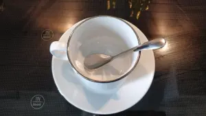 Фарфоровая чайная пара из Добруша