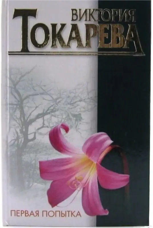 Первая попытка. Книга