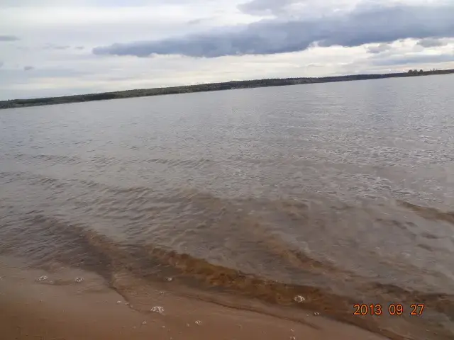 Два дома в лесу, на берегу Вилейского водохранилища.
