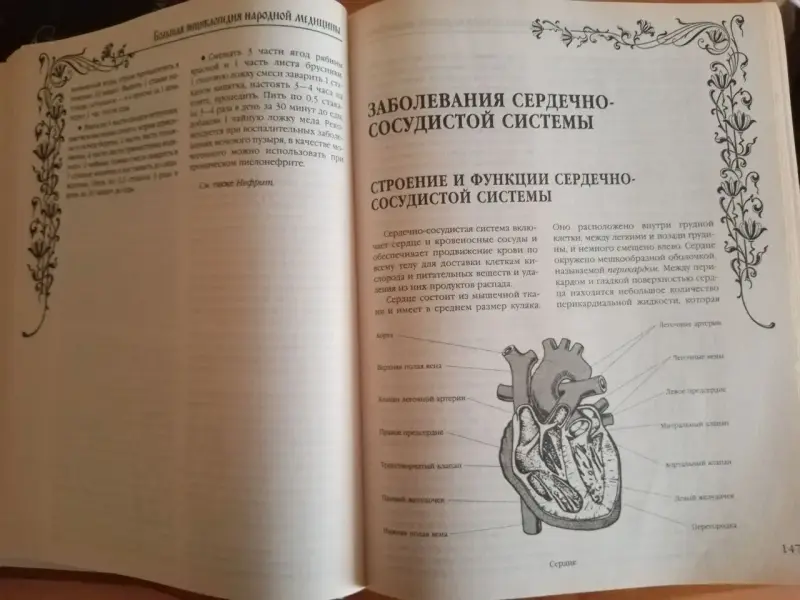 Большая энциклопедия народной медицины