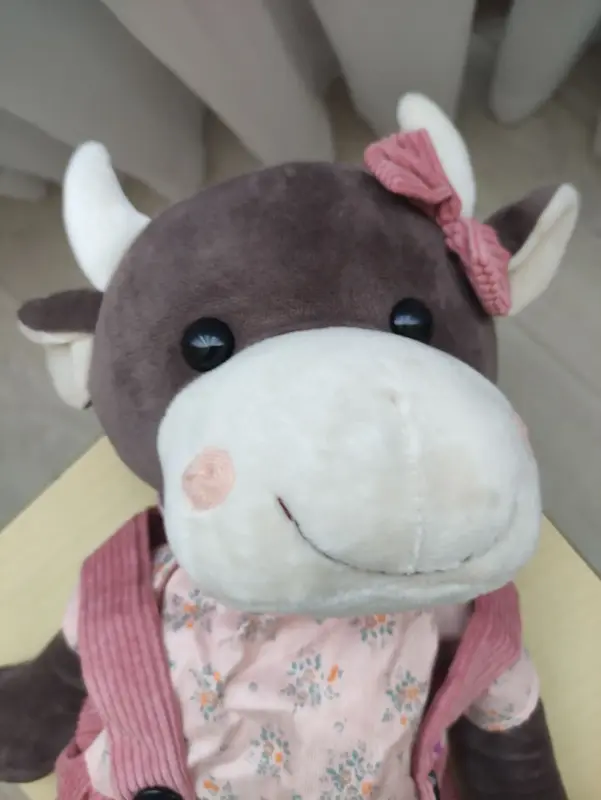 Игрушки. Мягкие. Внутри карман.  