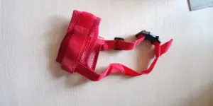 Намордник для собаки