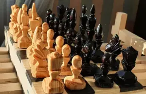 Шахматы