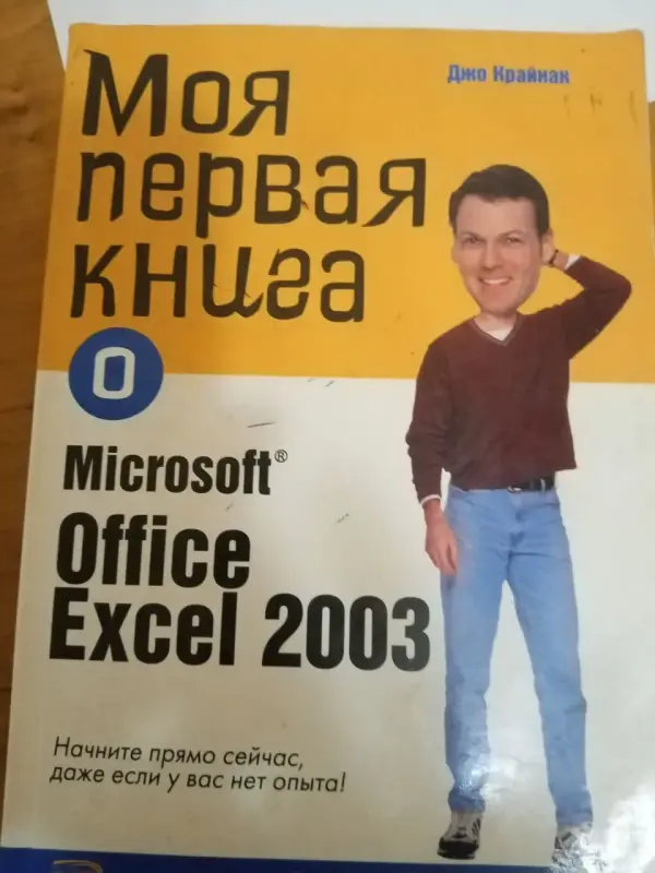 Моя первая книга Microsoft Office Excel 2003