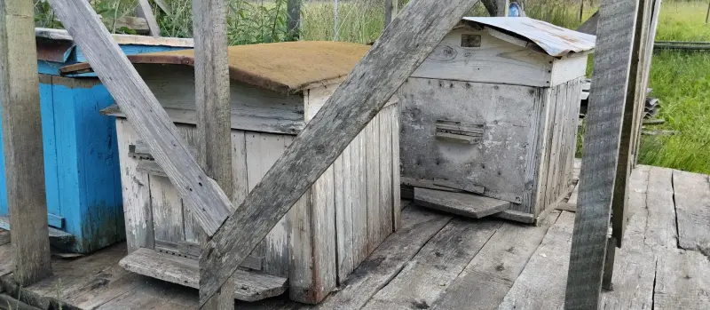 Ульи