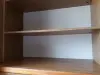 Часть секции Орлея