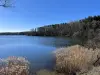 Купить участок, с/т Водолей-2010 (Минский р-н, Минская область)