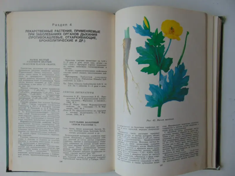 Домашний травник.