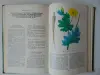 Домашний травник.