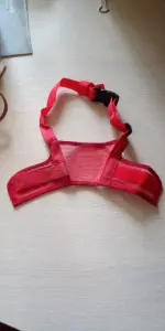 Намордник для собаки