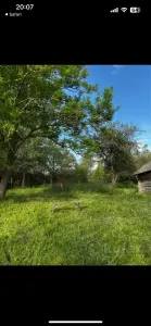 Дом с участком