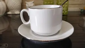 Фарфоровая чайная пара из Добруша