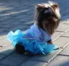 Йоркширский терьер