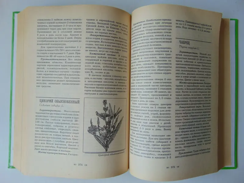 Домашний травник.