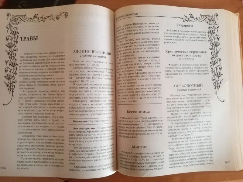 Большая энциклопедия народной медицины