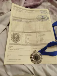 Щенки Дратхаара