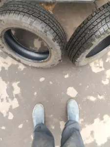 Шины