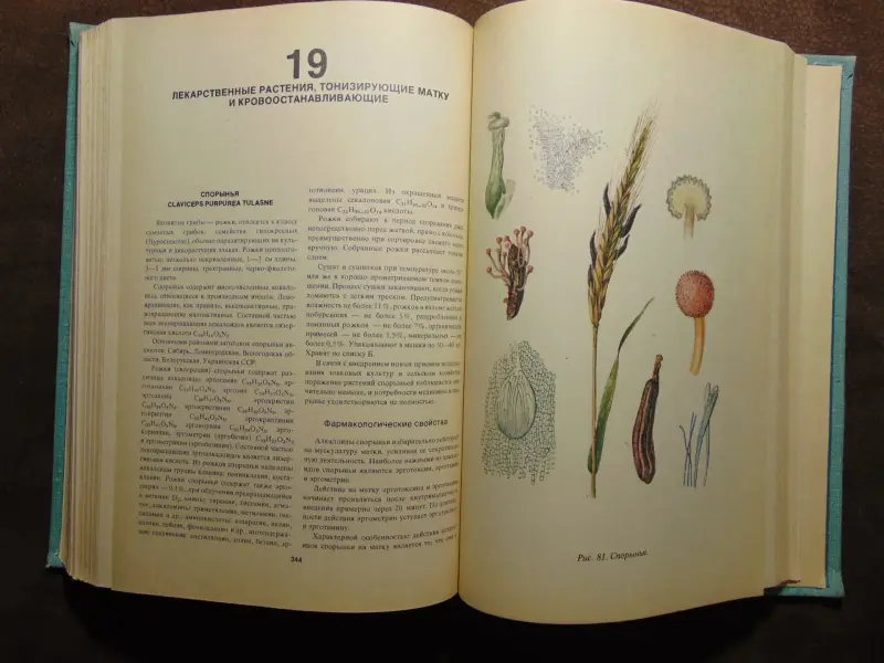 Лекарственные растения СССР и их применение. А.Д. Турова, Москва, Медицина, 1974 год, издание 2-е переработанное и дополненное, 424 стр