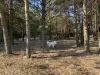 Гостиница для животных