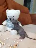 БРОНЬ Котенок Канадского Сфинкса