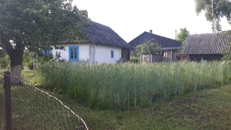 Дом с участком в Нарочи