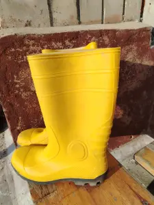 Сапоги Рабочие