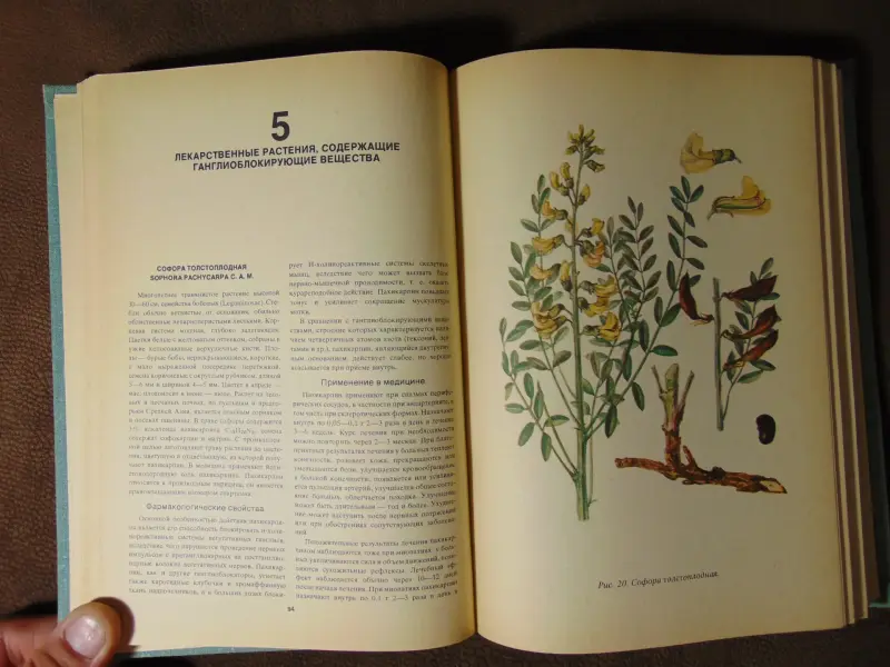 Лекарственные растения СССР и их применение. А.Д. Турова, Москва, Медицина, 1974 год, издание 2-е переработанное и дополненное, 424 стр