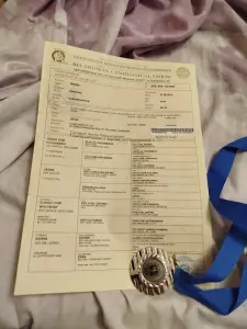 Щенки Дратхаара