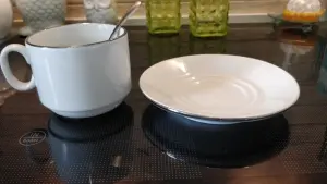 Фарфоровая чайная пара из Добруша