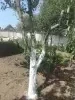 Дом