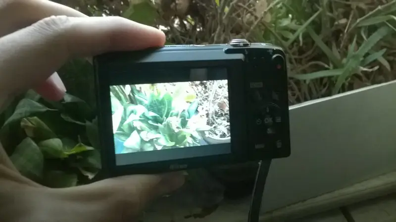 Цифровой компактный фотоаппарат Nikon Coolpix S2800
