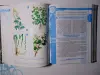 Большая энциклопедия народной медицины