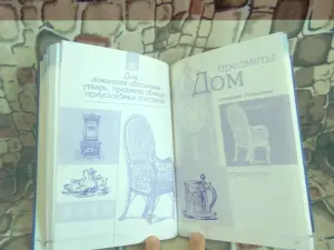 Большой универсальный современный сонник. 100 000 толкований снов;