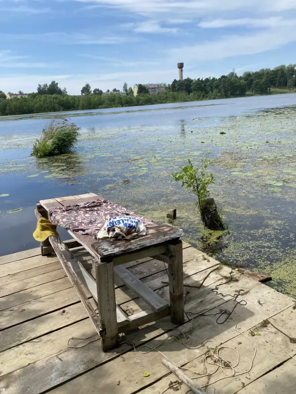 Дом в г. Поставы на берегу реки