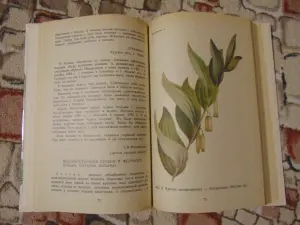 По нетрадиционным схемам - к здоровью: Советы знахаря: Лечебные советы и рекомендации.